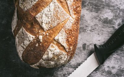 Best Bread Knives– Which One Should You Get?