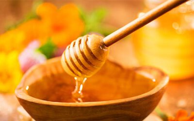 Best Honey Spoons: Why to Use?