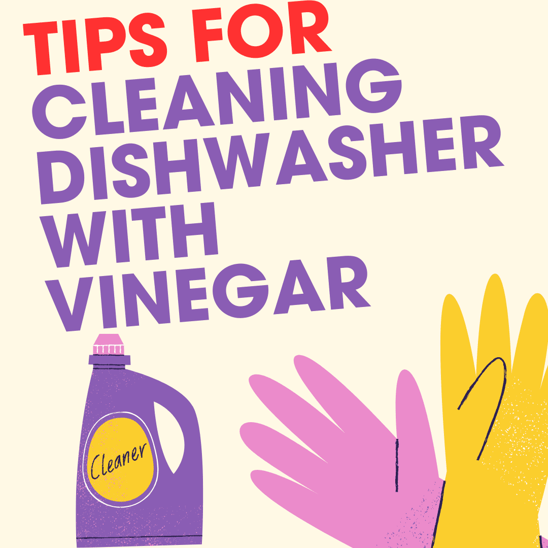 Clean Dishwasher with Vinegar